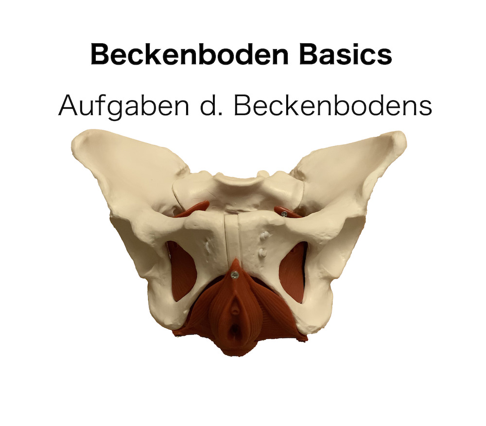 beckenboden-aufgaben-2