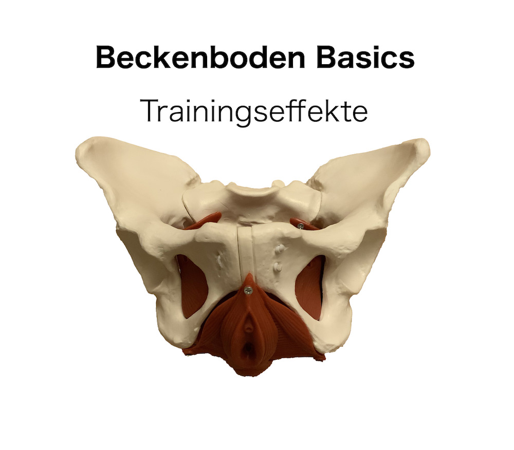 beckenboden-training-effekte