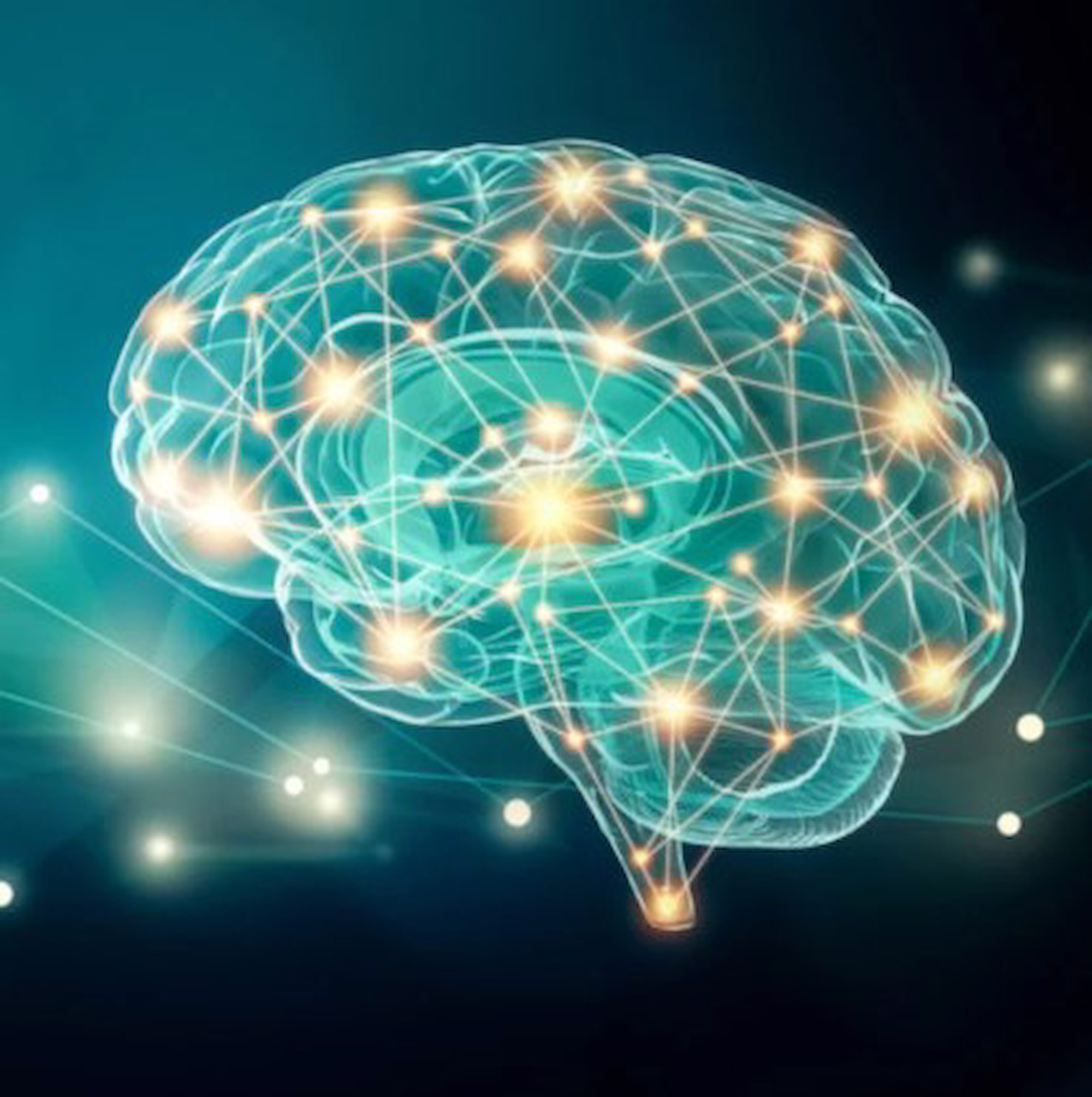 neuroscienze-