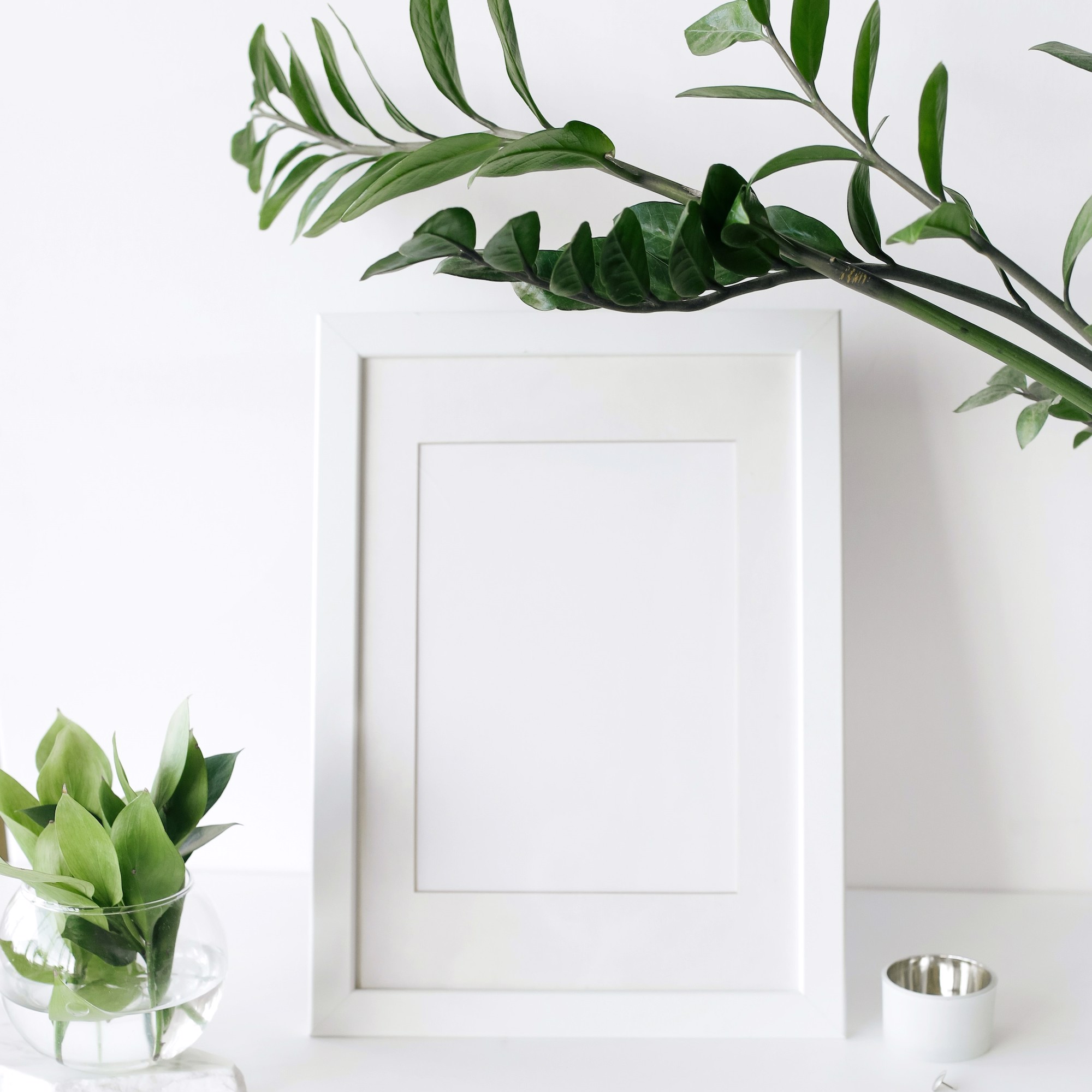 pexels-poan-studio-5797991