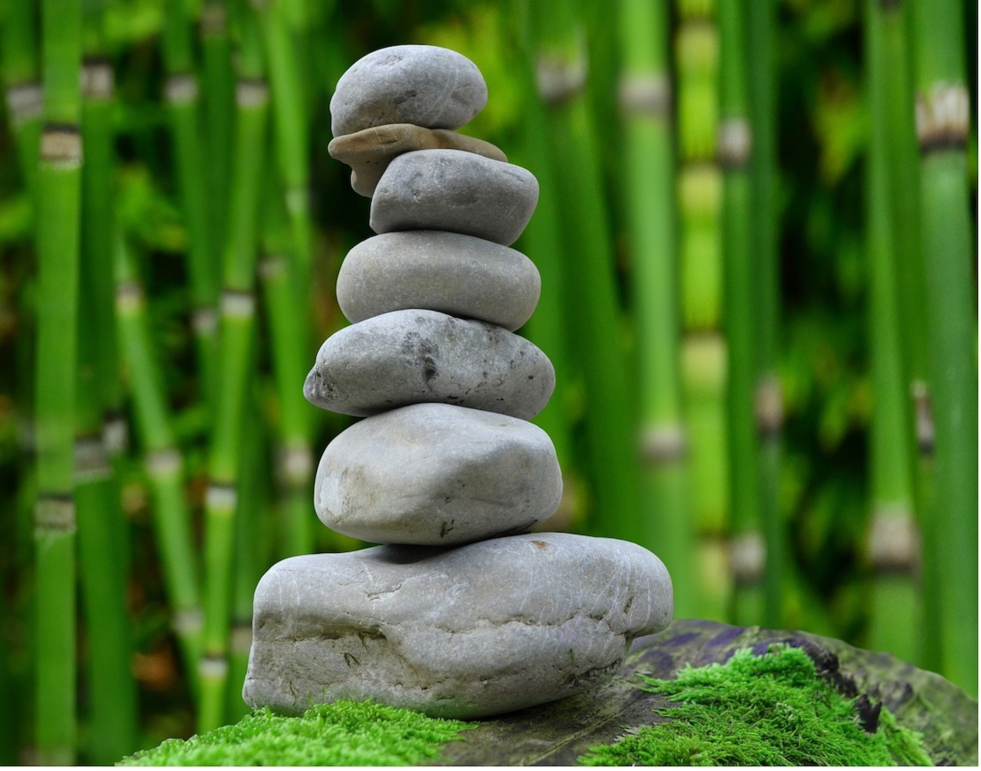 zen